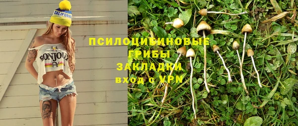 дмт Алексин