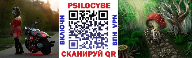 Галлюциногенные грибы Psilocybe Тюмень