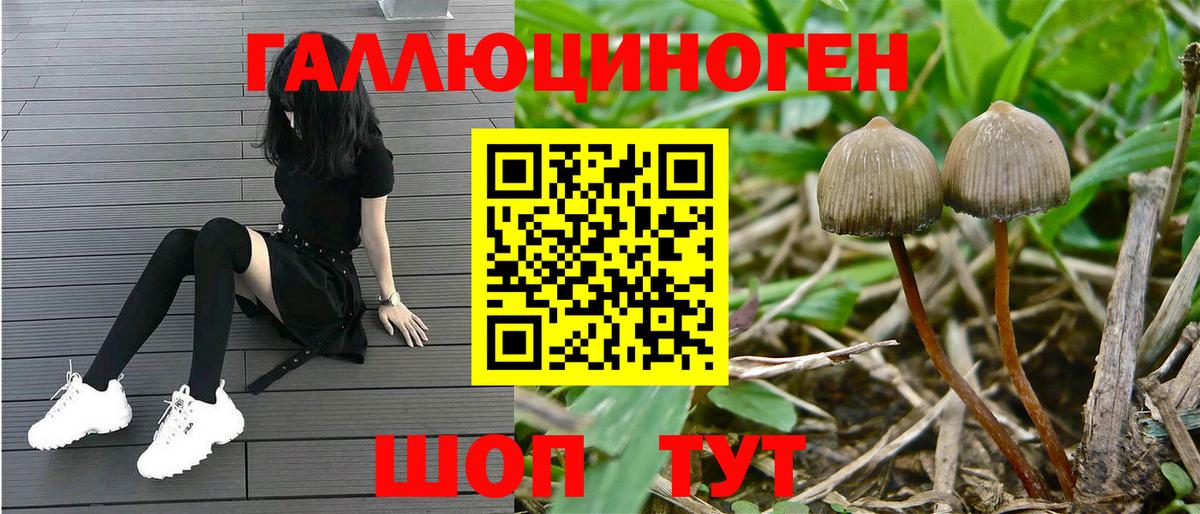 Псилоцибиновые грибы GOLDEN TEACHER Тюмень