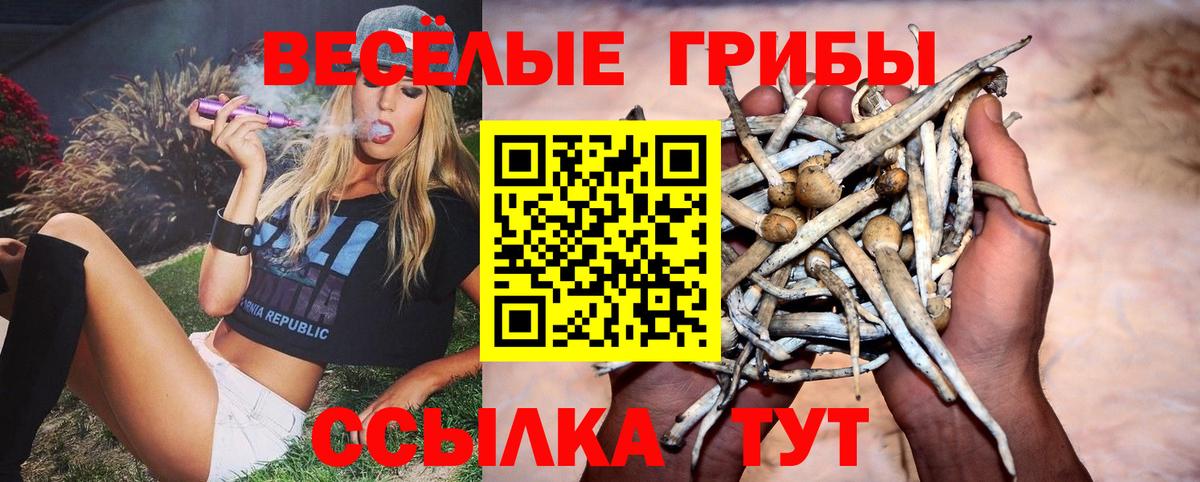 наркотики  Вход с VPN  Тюмень  Галлюциногенные грибы MAGIC MUSHROOMS 
